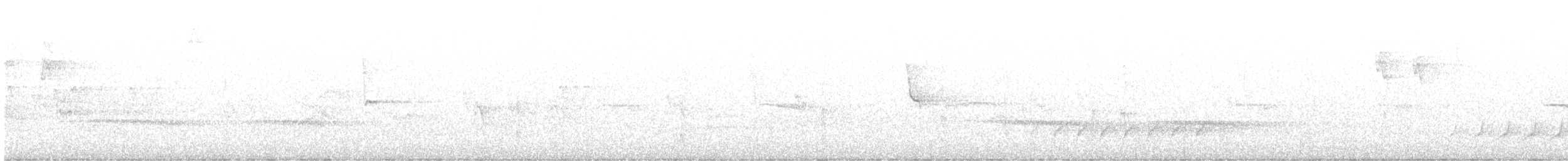 Fan-tailed Cuckoo - ML608318505