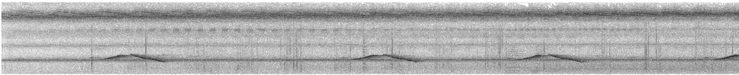 Streifenbrust-Erddrossling - ML608318509