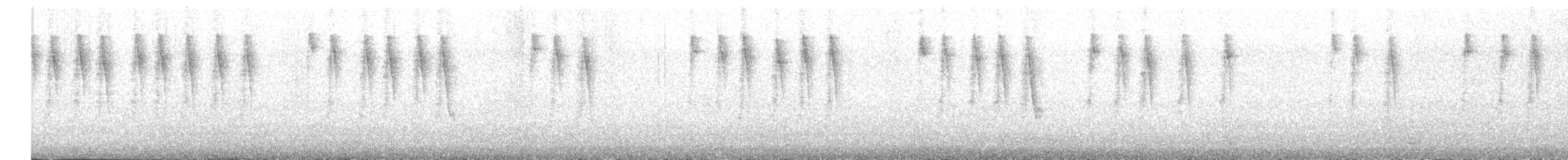 Northern/Mangrove Yellow Warbler - ML608321795