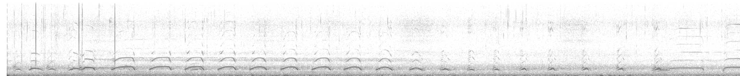 racek šedokřídlý - ML608323505