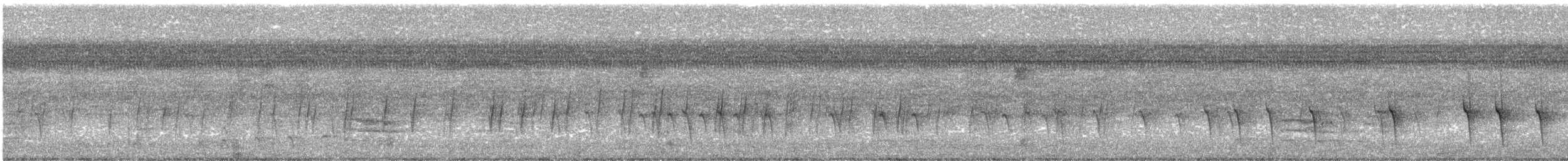 Bec-croisé des sapins (type 2) - ML608324209