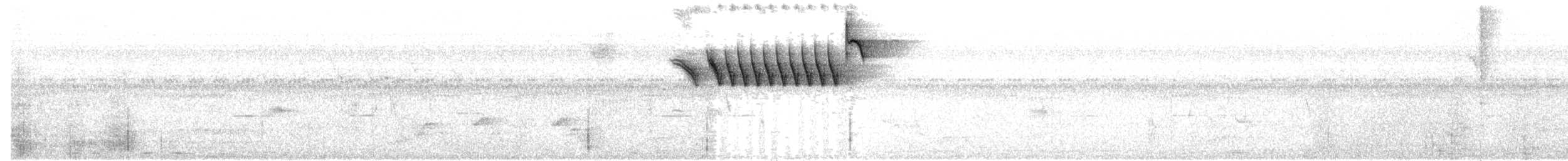 Sporophile de Temminck - ML608324555