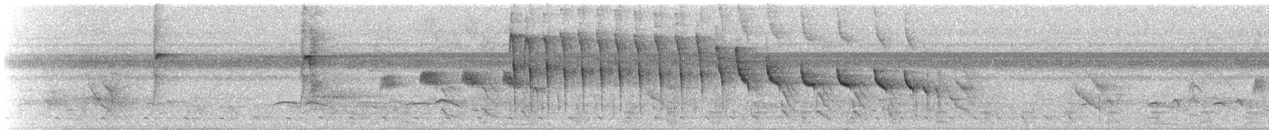 Schuppenbauch-Baumschlüpfer - ML608328332