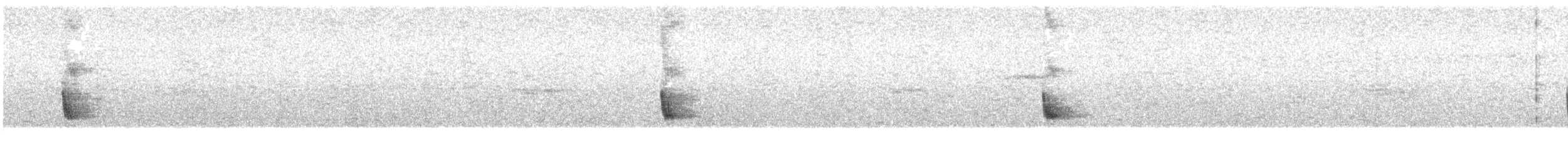 Kestane Karınlı Koca Tohumcul - ML608329374