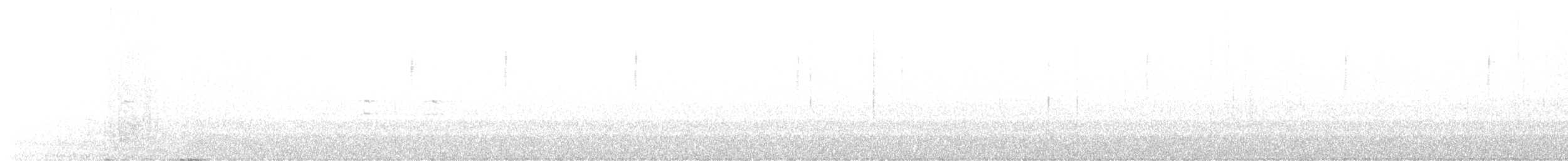 křivka bělokřídlá - ML608329444