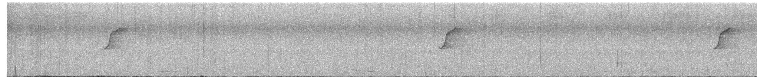 Gray-cheeked Warbler - ML608330941