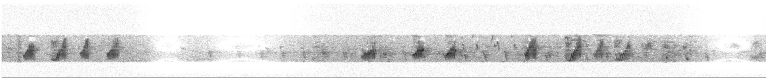 ハジロミドリツバメ - ML608335123
