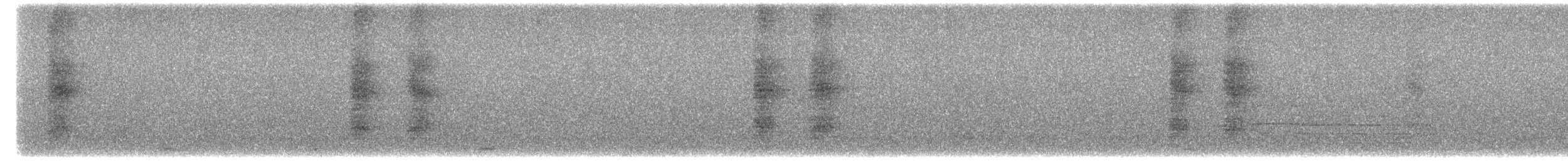 ヨコジマサボテンミソサザイ - ML608337175