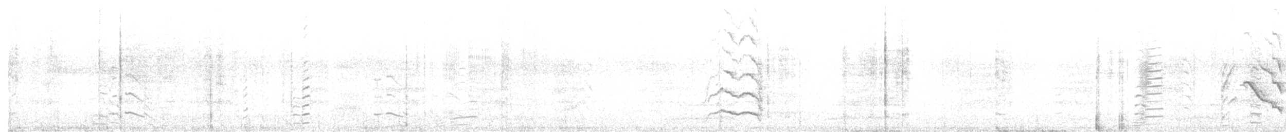 Baudin's Black-Cockatoo - ML608341942