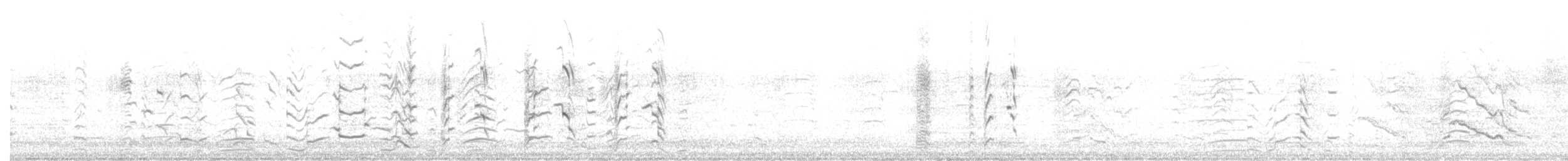 Какатоїс білохвостий - ML608341943