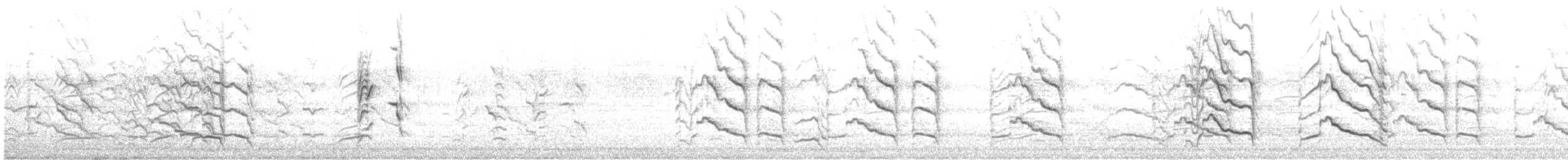 Cacatoès de Baudin - ML608341944