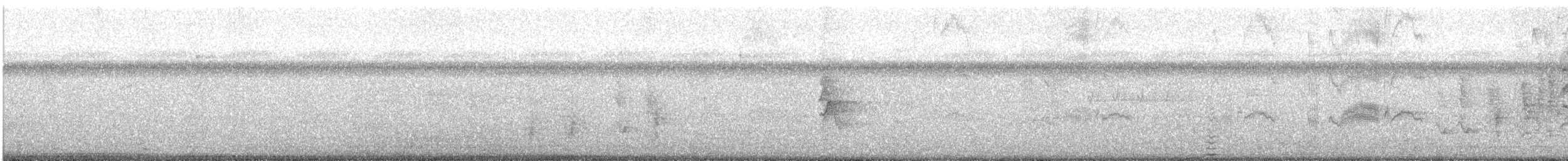 Southern House Wren - ML608343441