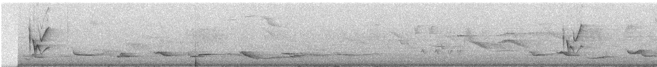 Віреон коста-риканський - ML608344284