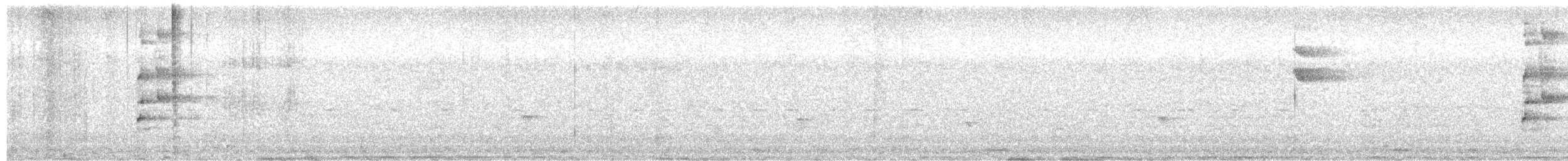 Аракарі плямистоволий - ML608348551