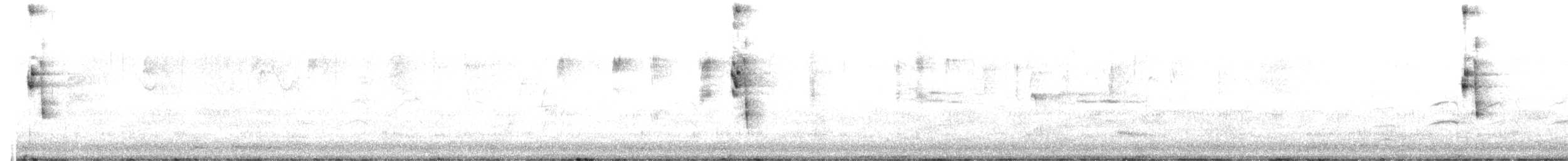 båndrikse - ML608351361