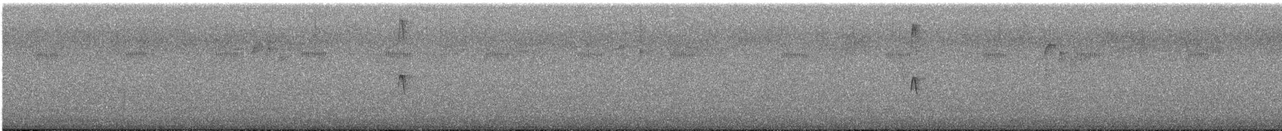 Black Phoebe - ML608365823