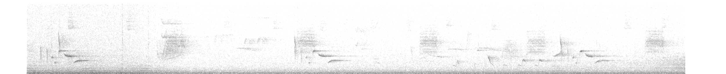 White-bellied Wren - ML608373911