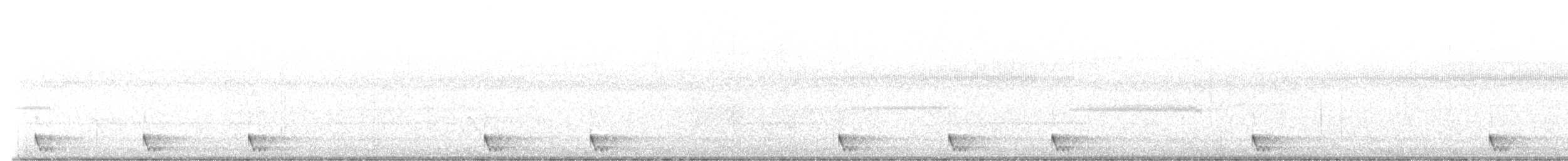 Large-tailed Nightjar - ML608377729