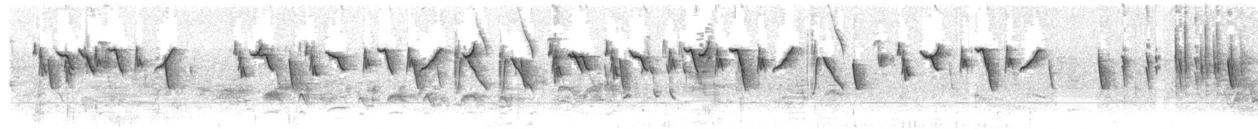 Rotsteiß-Spitzschnabel - ML608388116