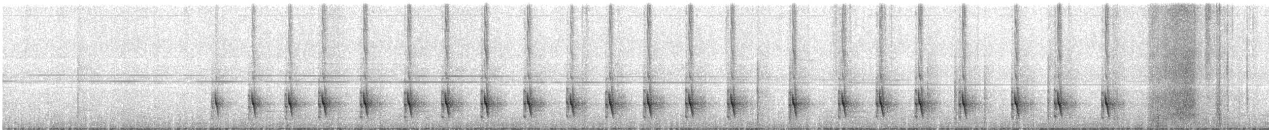 svartbukmaursmett - ML608390363