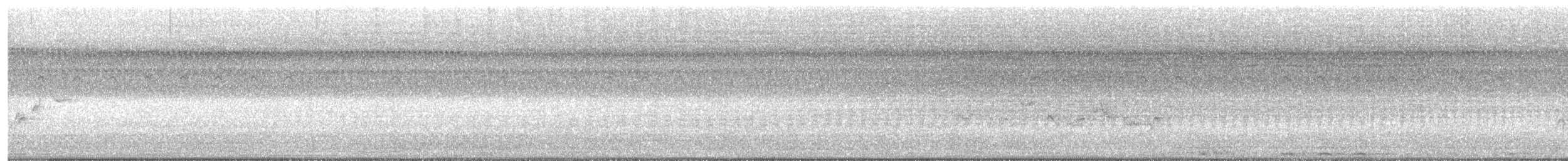 Viréo mélodieux - ML608391606