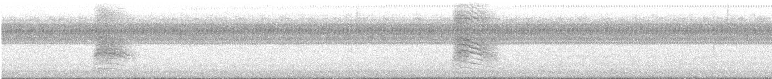 Кошачий пересмешник - ML608396581