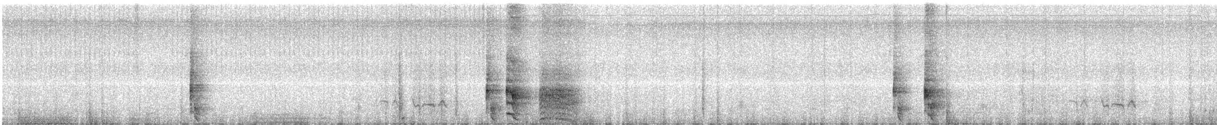 Южноамериканский лапчатоног - ML608401376