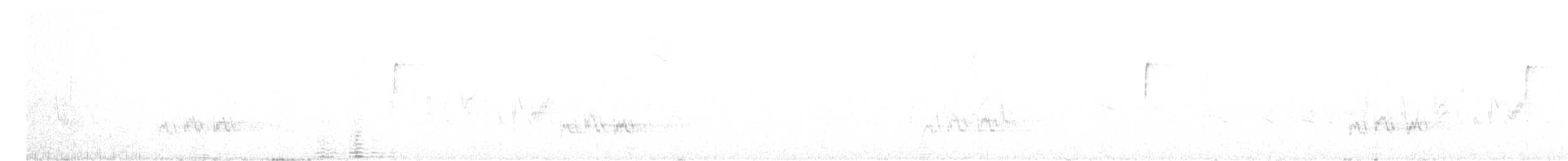 Rotsteiß-Spottdrossel - ML608402504