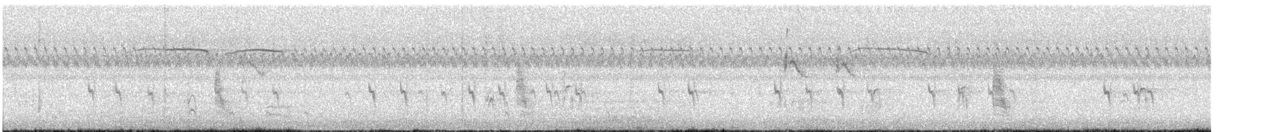 Bec-croisé des sapins (type 2) - ML608408892