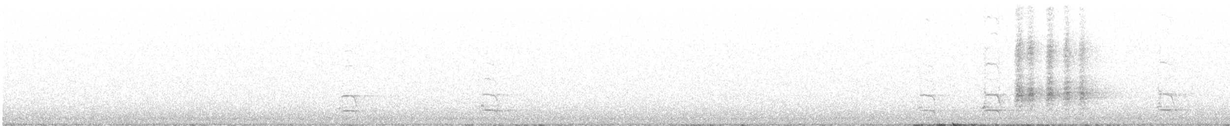 gråskrike (capitalis/bicolor) - ML608409302