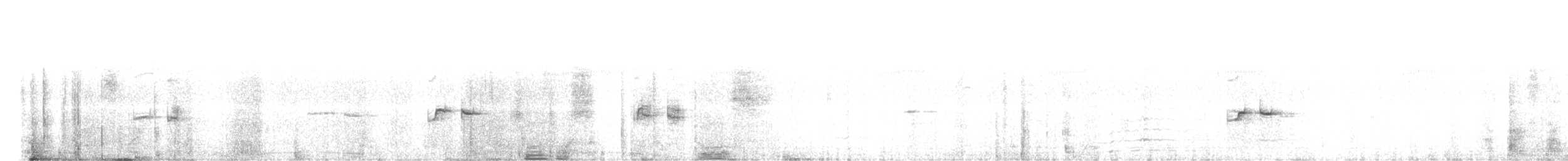 Marouette à sourcils blancs - ML608411836
