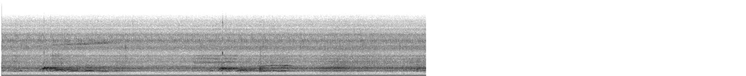 メンフクロウ（tuidara グループ） - ML608412312