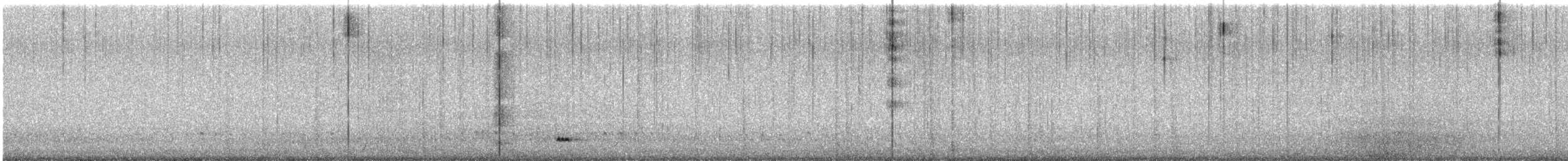 Spitzschwanzente - ML608414416