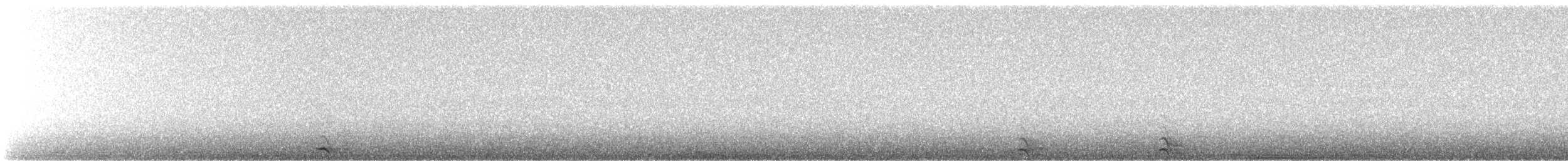 Western Screech-Owl - ML608421374