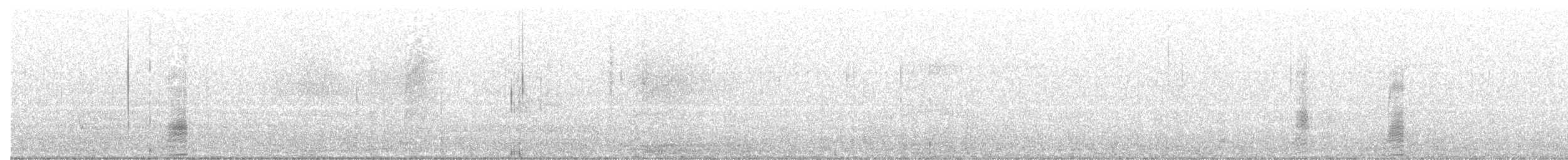 Sarcelle d'hiver (carolinensis) - ML608421754
