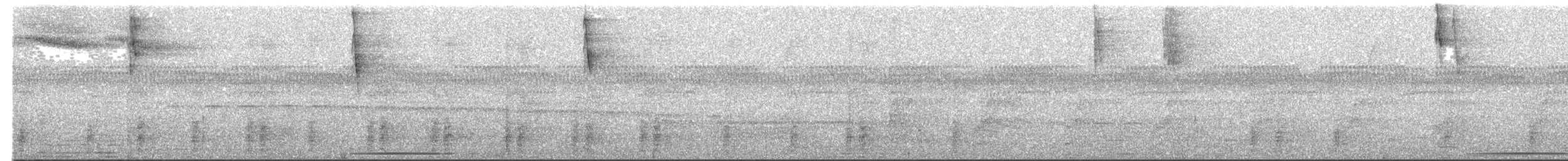 Lettered Aracari - ML608426606