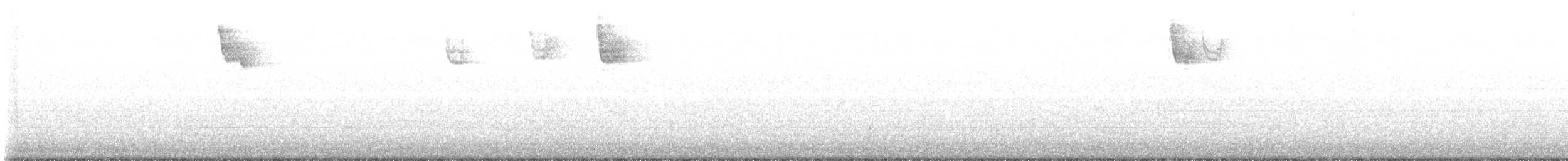 Белогорлая зонотрихия - ML608431319
