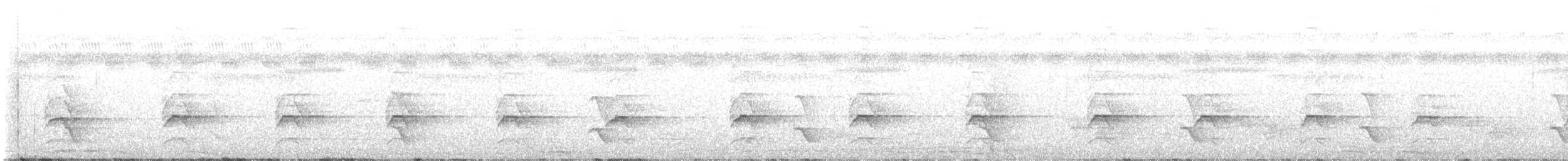 ledňáček pacifický - ML608432735