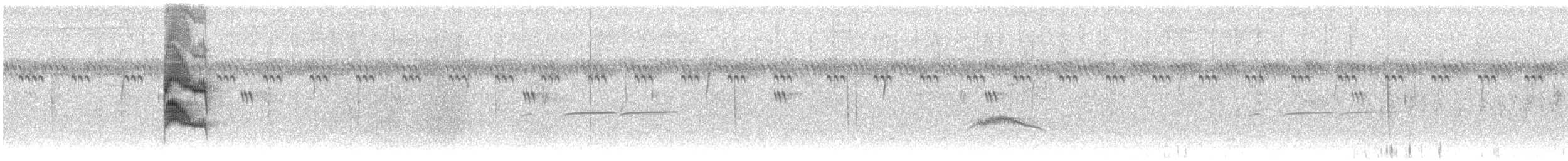 Braunscheitel-Olivtyrann - ML608436929