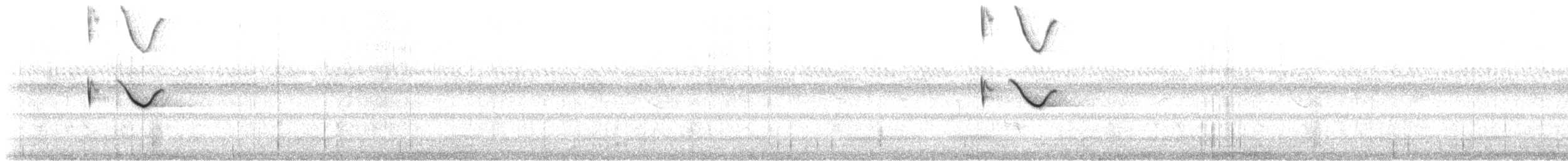 Spot-tailed Nightjar - ML608440727