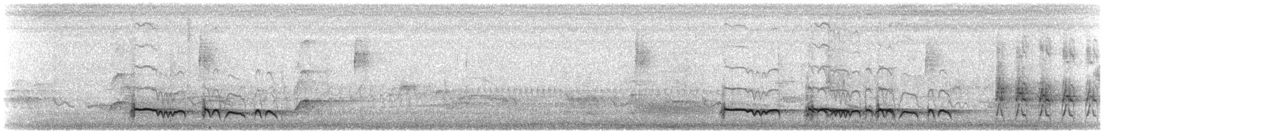 Kaatinga Pufkuşu (maculatus) - ML608441668