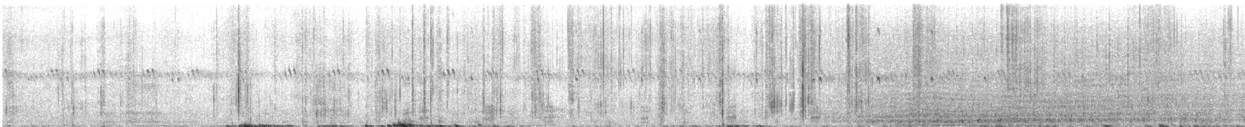 Common Merganser (North American) - ML608443565