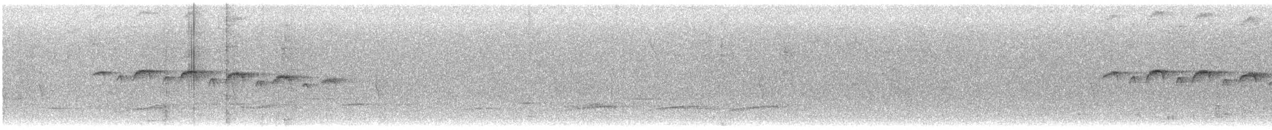 Schmuckbrust-Ameisenvogel - ML608443712