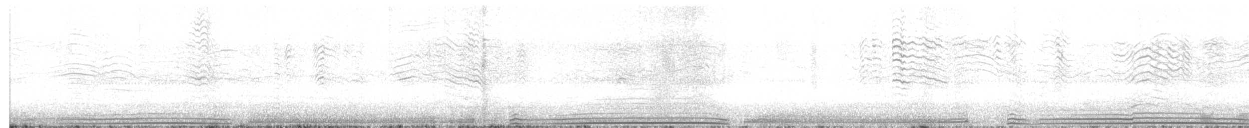 Wedge-tailed Shearwater - ML608445301