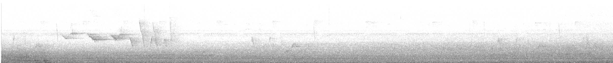 Трясогузковый певун - ML608451741