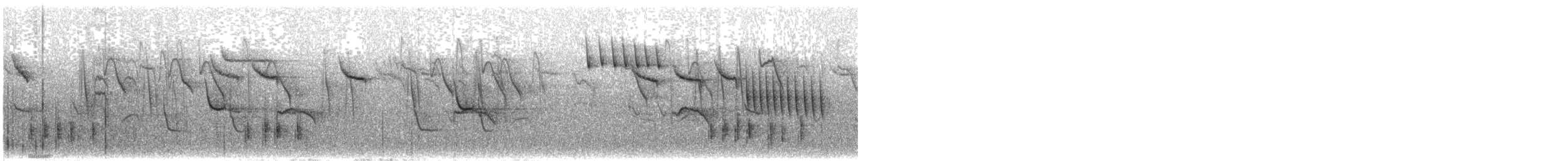 White-browed Bush-Robin - ML608464572