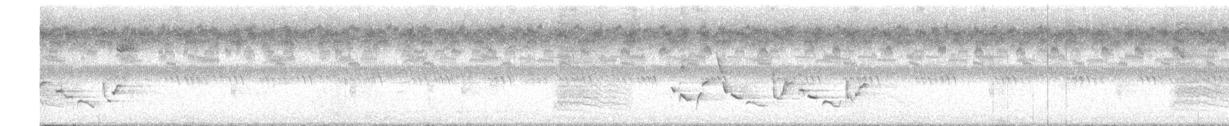 Каролинский крапивник - ML608470553