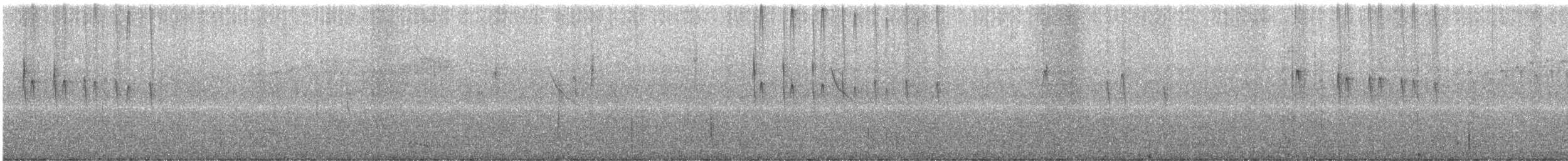 Weißscheitel-Kleintyrann (subcristata/straminea) - ML608471345