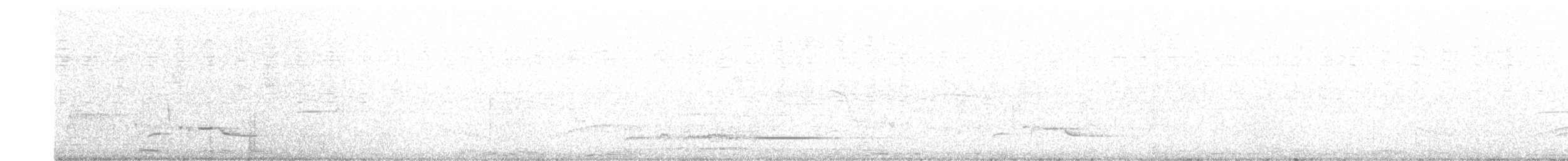 White-bellied Wren - ML608473877