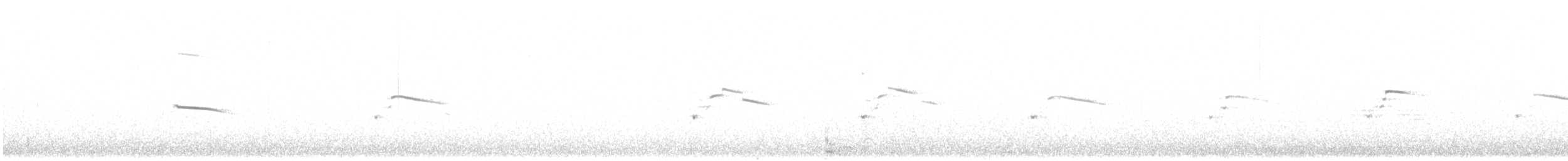 セグロカモメ（argentatus／argenteus） - ML608475187